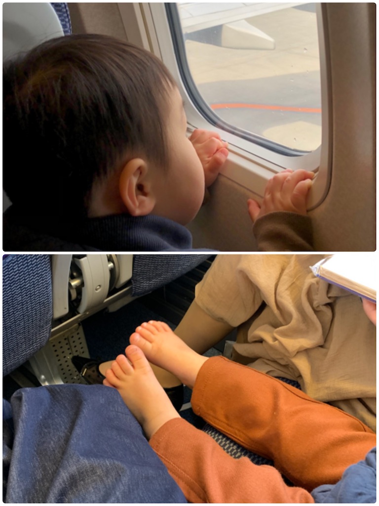 f:id:hachiburo:20200218010441j:image