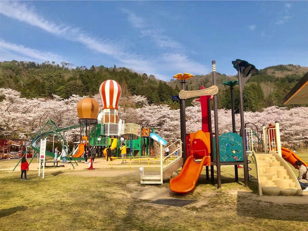 f:id:hachiburo:20200327200018j:image