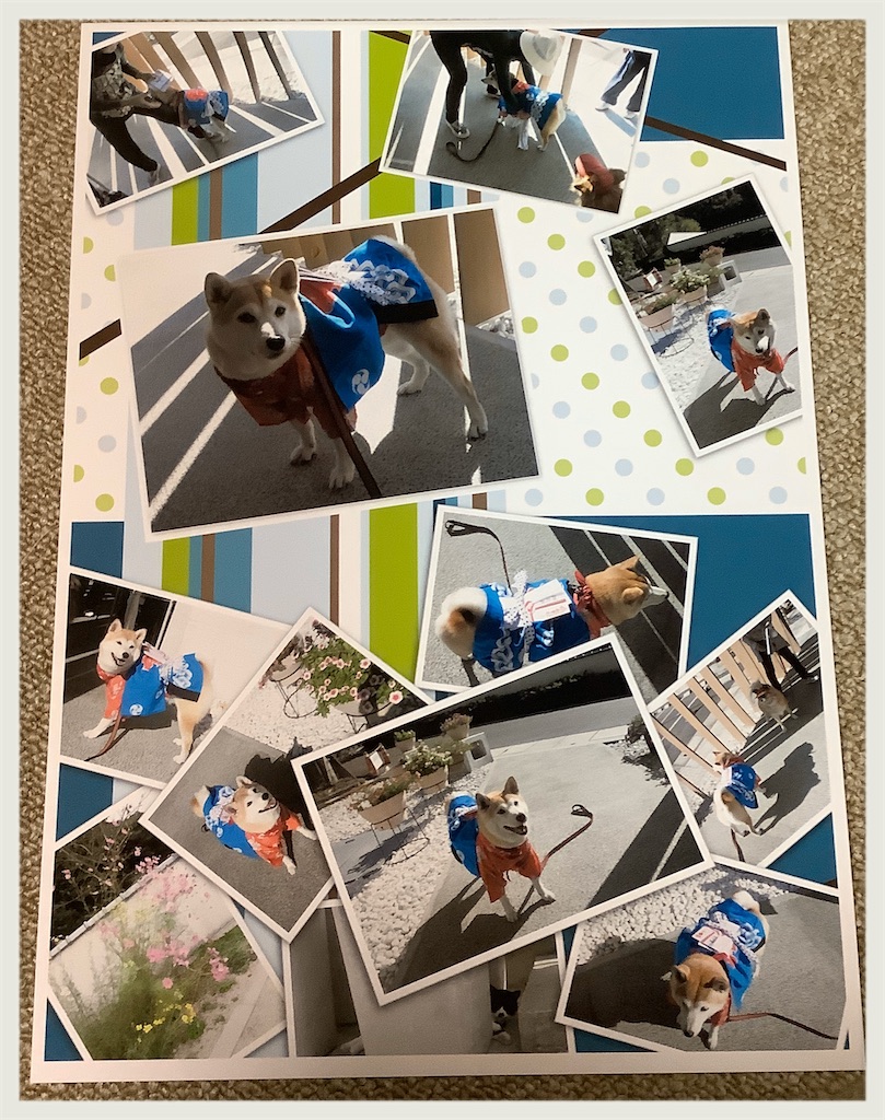 f:id:hachiburo:20200329230954j:image