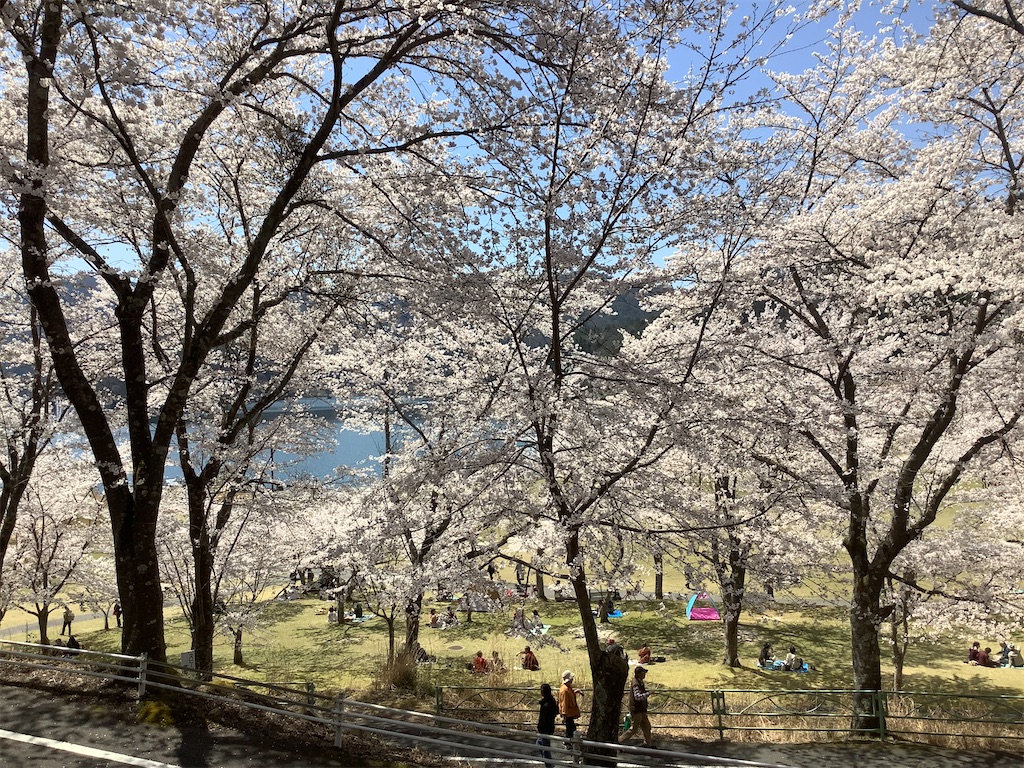 f:id:hachiburo:20200406162401j:image f:id:hachiburo:20200406162401j:image