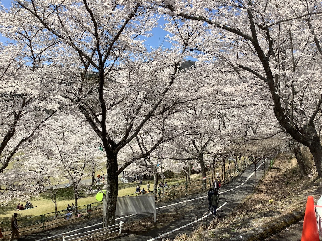 f:id:hachiburo:20200406162415j:image f:id:hachiburo:20200406162415j:image