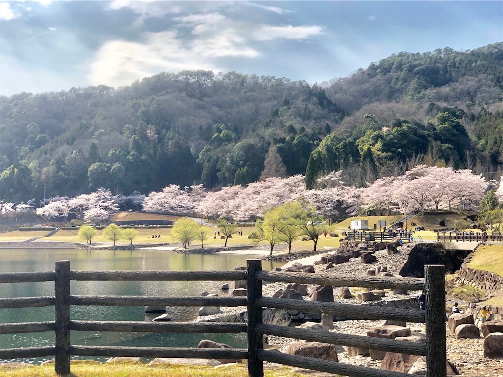 f:id:hachiburo:20200406164925j:image f:id:hachiburo:20200406164925j:image
