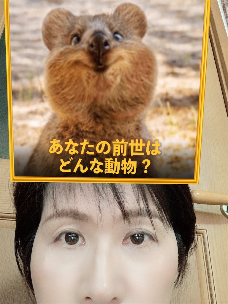 スノーアプリ診断で遊ぶ五十路の女 雑記と旅のブログ はちこーんのお一人様が行く