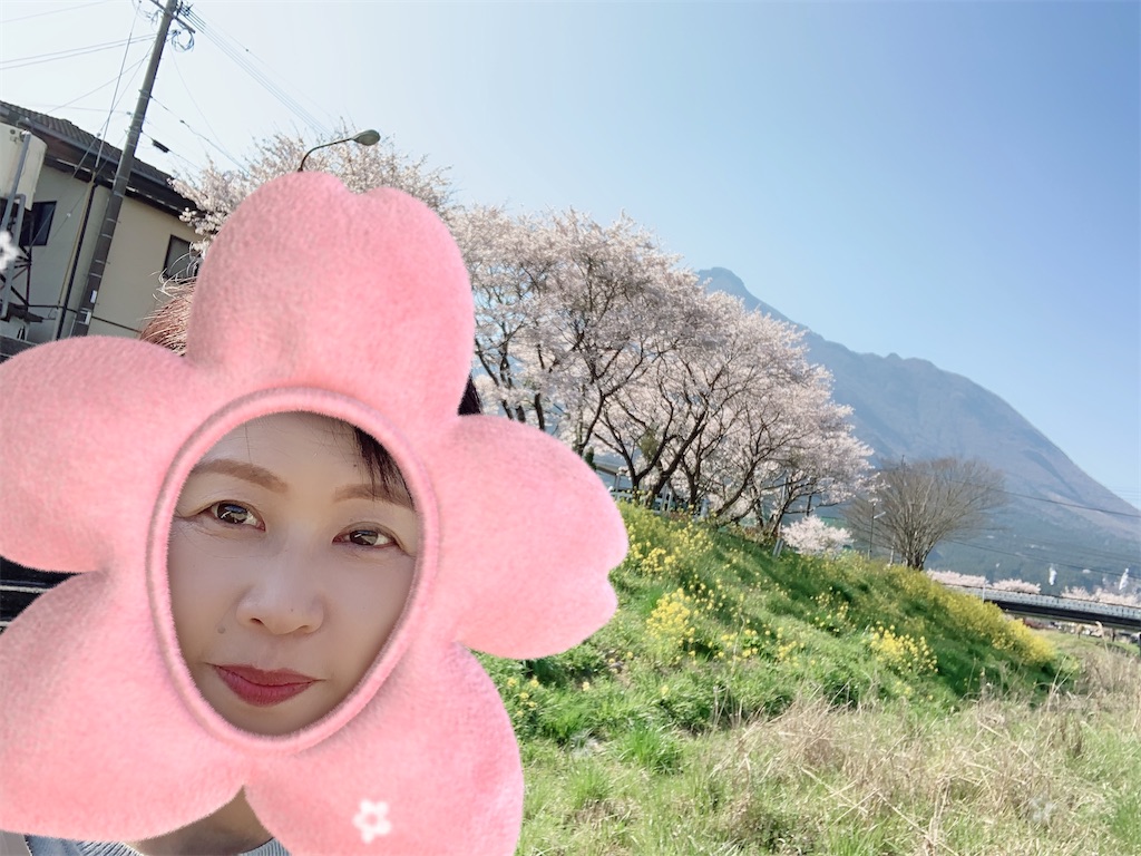 f:id:hachiburo:20200414180731j:image