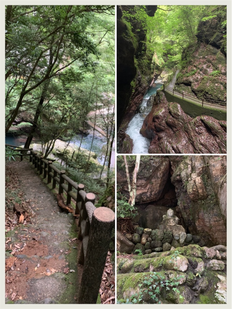 f:id:hachiburo:20200624172405j:image f:id:hachiburo:20200624172405j:image