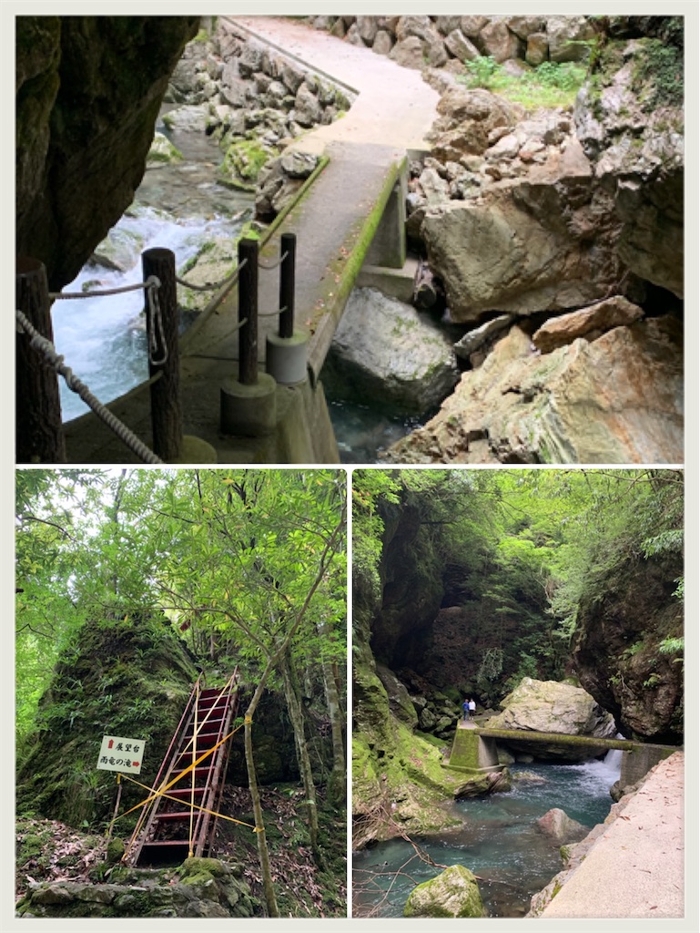 f:id:hachiburo:20200624172409j:image f:id:hachiburo:20200624172409j:image