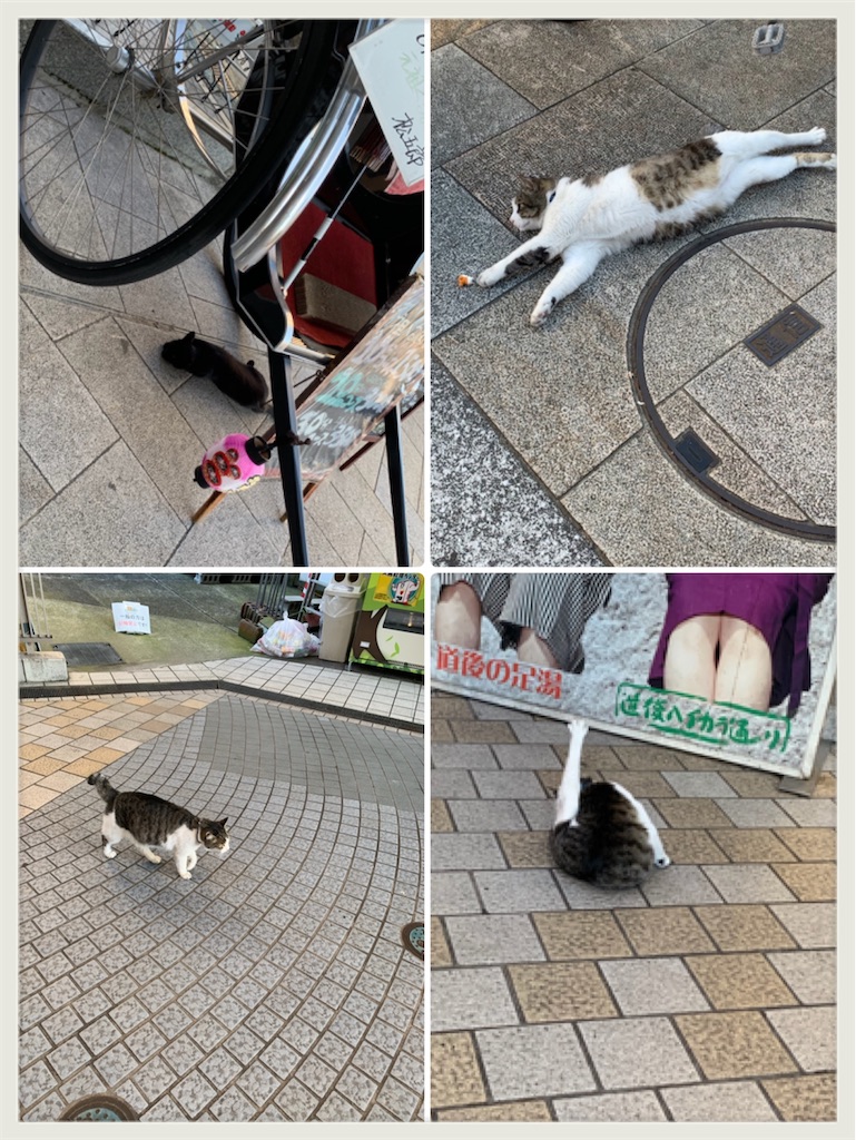 f:id:hachiburo:20200701163809j:image f:id:hachiburo:20200701163809j:image