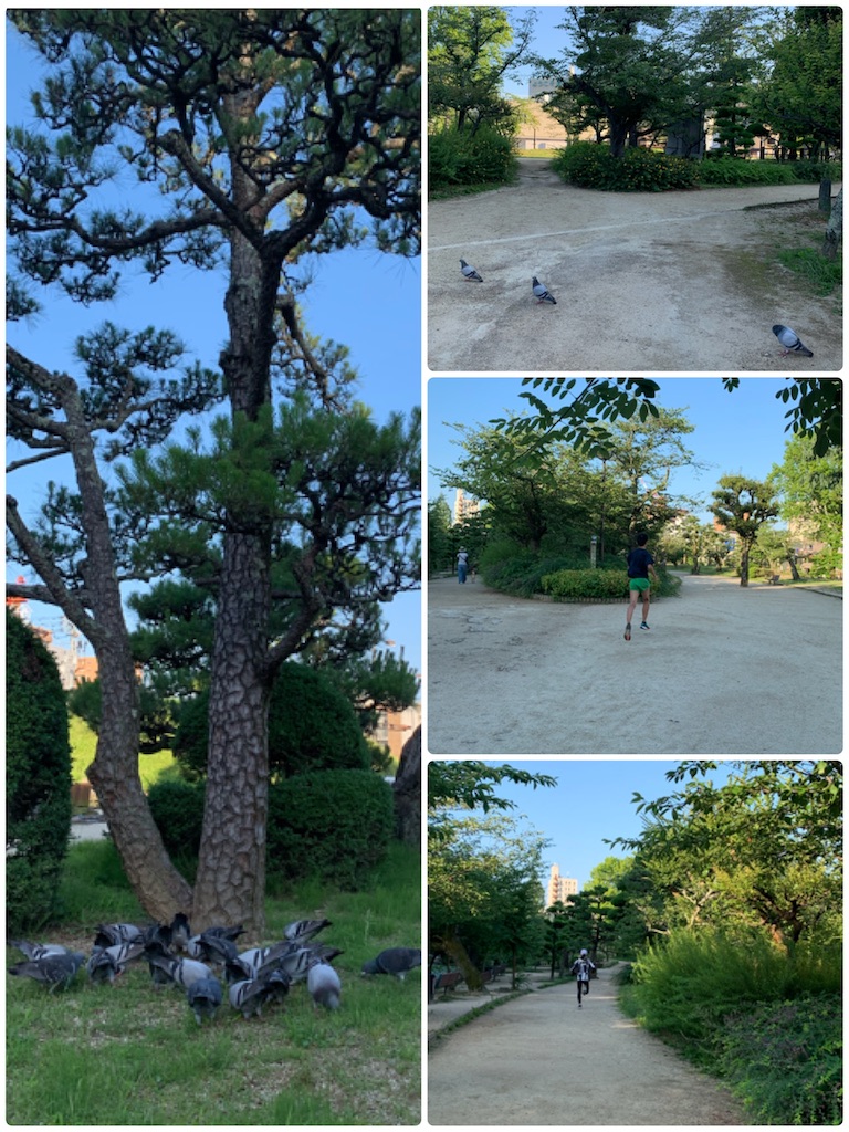 f:id:hachiburo:20200704122122j:image