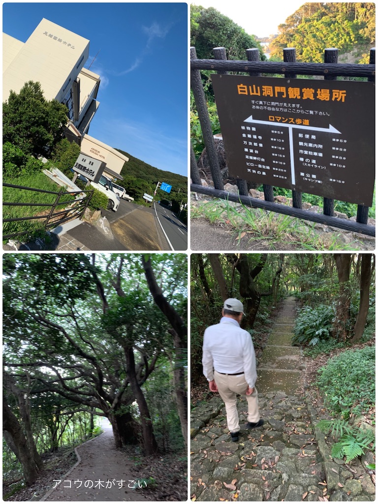 f:id:hachiburo:20200807164306j:image