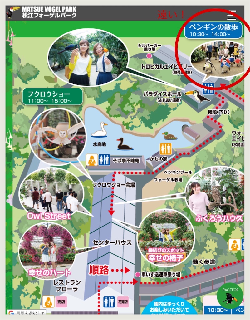 松江 フォーゲル パーク