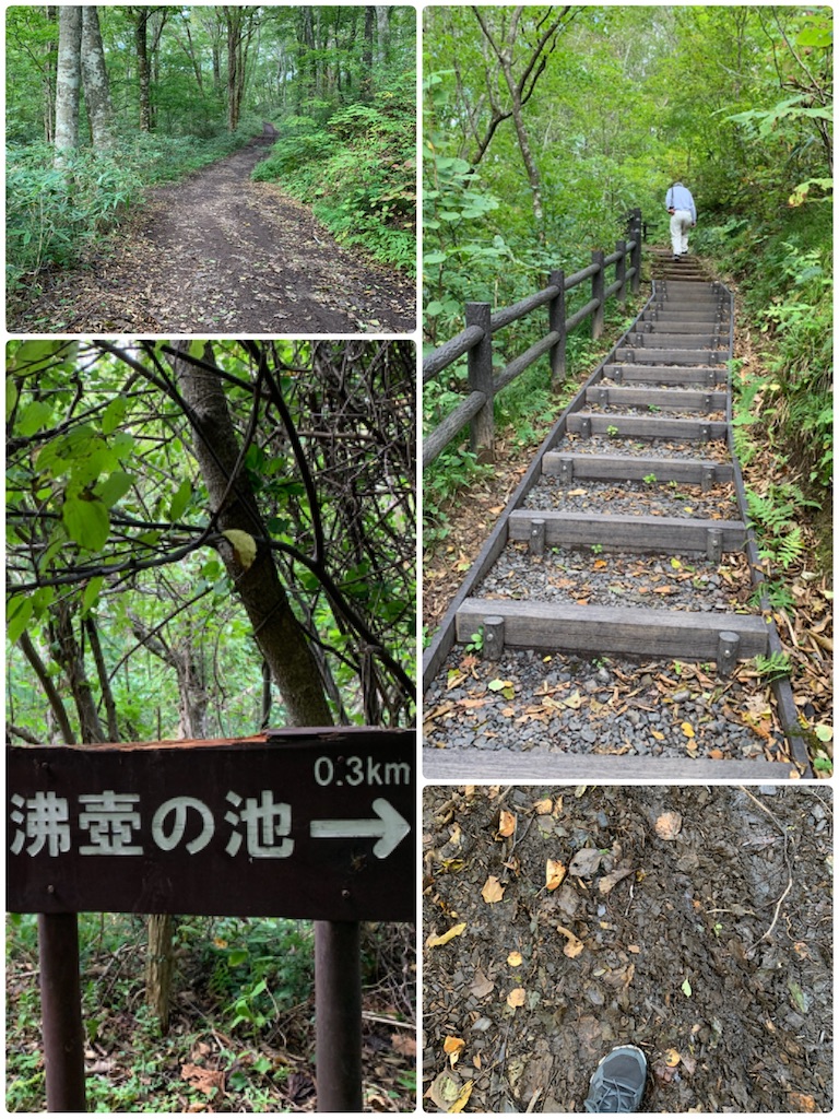 f:id:hachiburo:20201017075643j:image