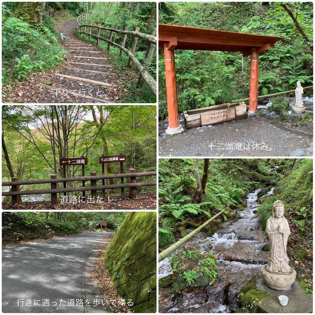 f:id:hachiburo:20201017080535j:image