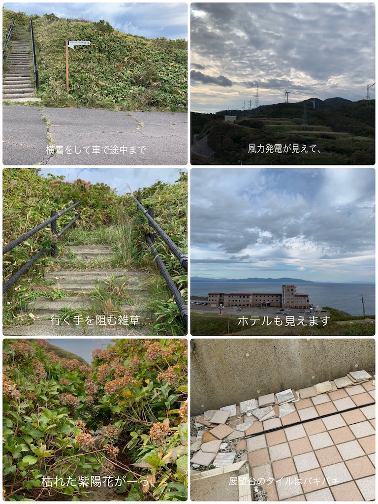 f:id:hachiburo:20201019072857j:image
