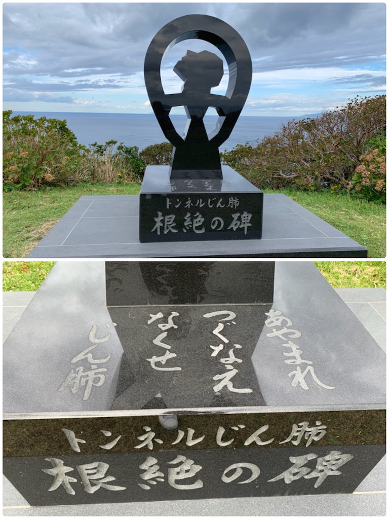 f:id:hachiburo:20201019073629j:image