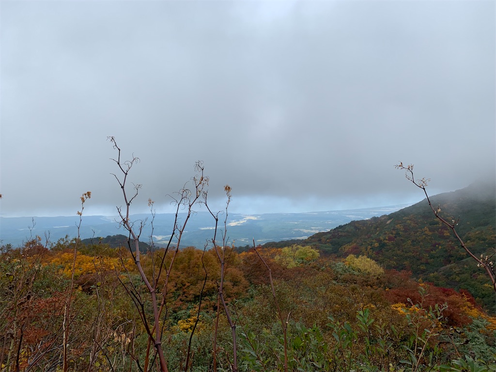 f:id:hachiburo:20201022082946j:image f:id:hachiburo:20201022082946j:image