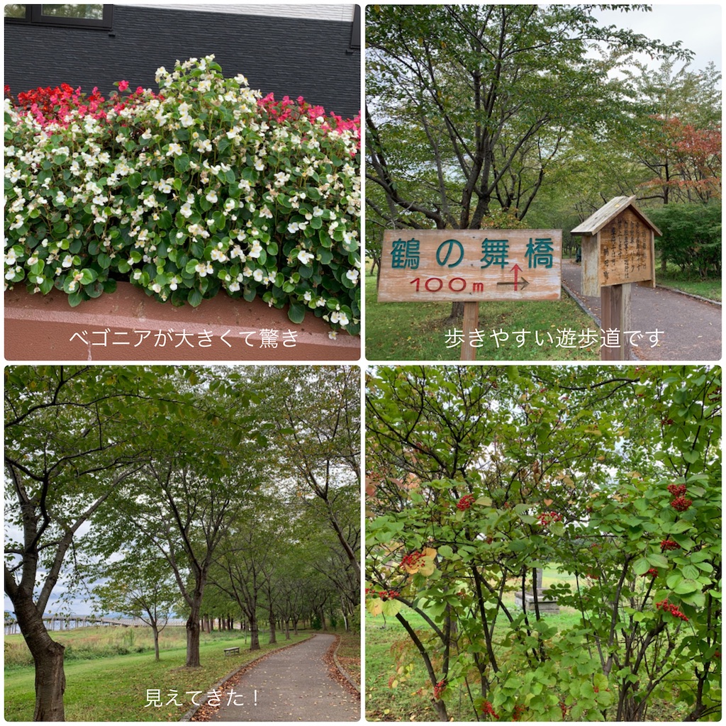 f:id:hachiburo:20201022184331j:image f:id:hachiburo:20201022184331j:image