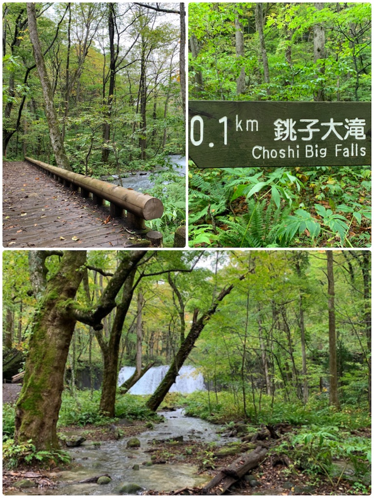 f:id:hachiburo:20201104142249j:image