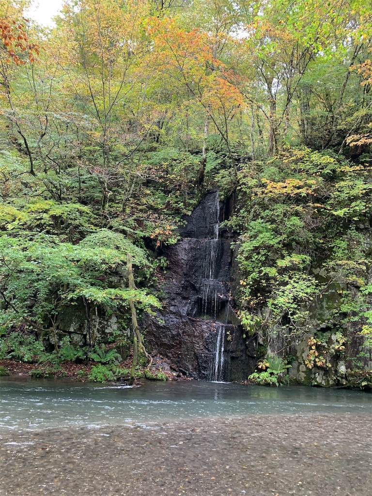 f:id:hachiburo:20201104142640j:image