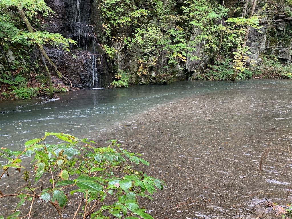 f:id:hachiburo:20201104142643j:image