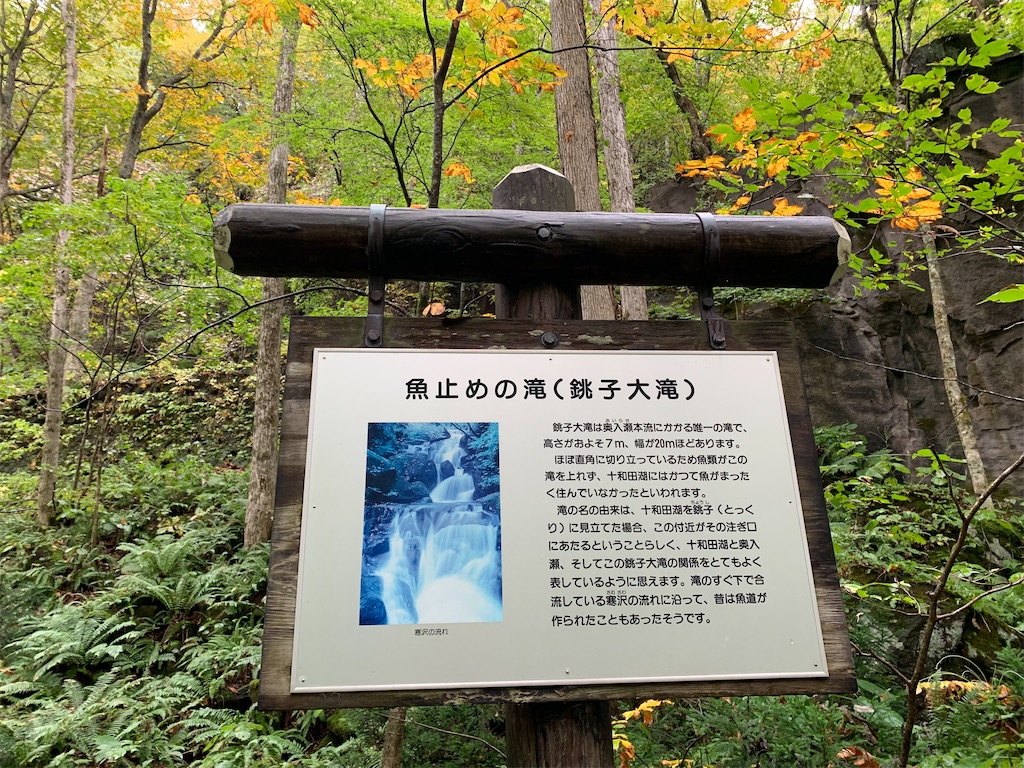 f:id:hachiburo:20201104142954j:image
