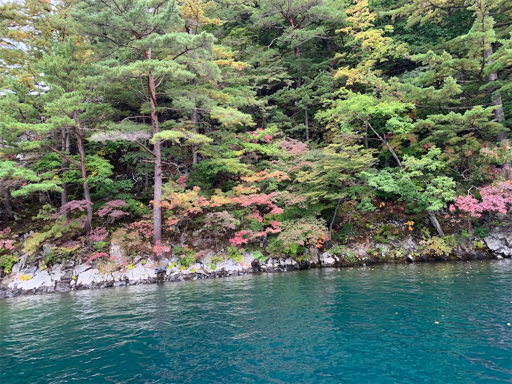 f:id:hachiburo:20201104144506j:image