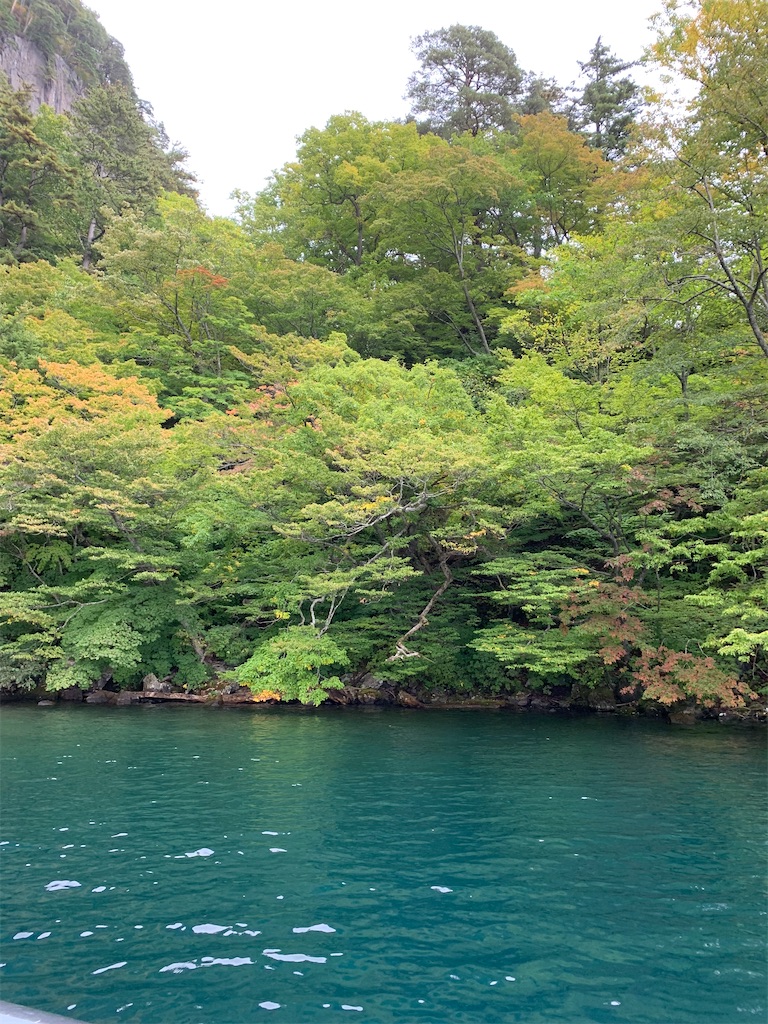f:id:hachiburo:20201104144513j:image