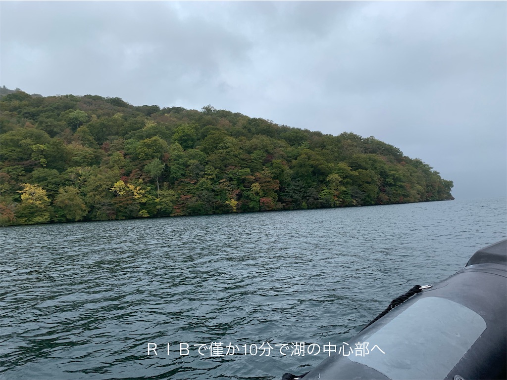 f:id:hachiburo:20201104172713j:image