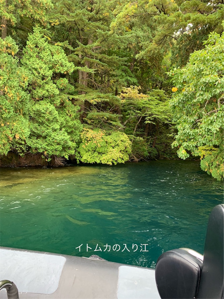 f:id:hachiburo:20201104173329j:image