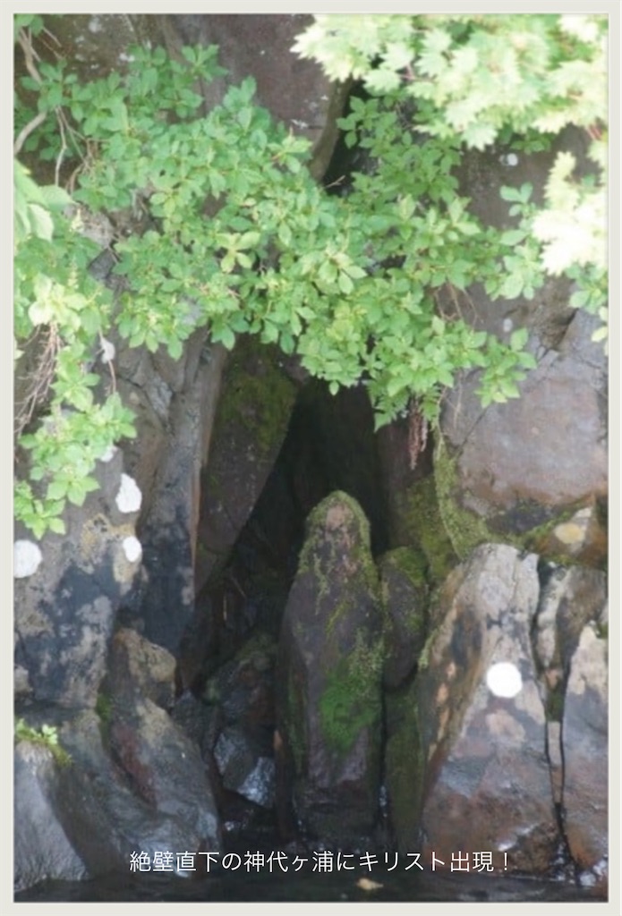 f:id:hachiburo:20201104174439j:image