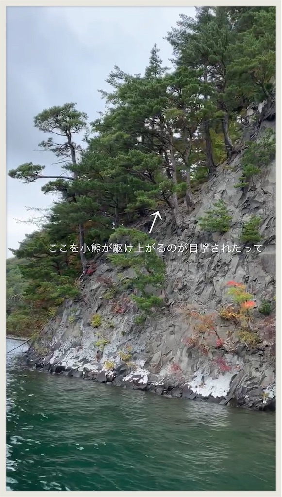 f:id:hachiburo:20201104174759j:image