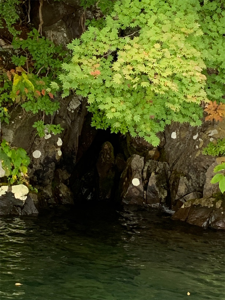 f:id:hachiburo:20201104175152j:image