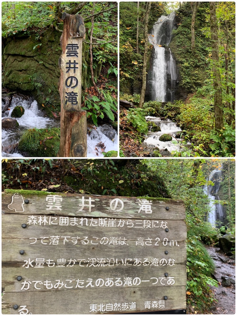 f:id:hachiburo:20201104215928j:image