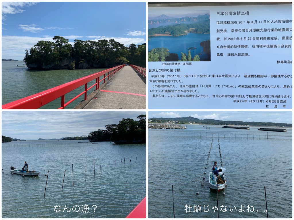 f:id:hachiburo:20201111173132j:image f:id:hachiburo:20201111173132j:image
