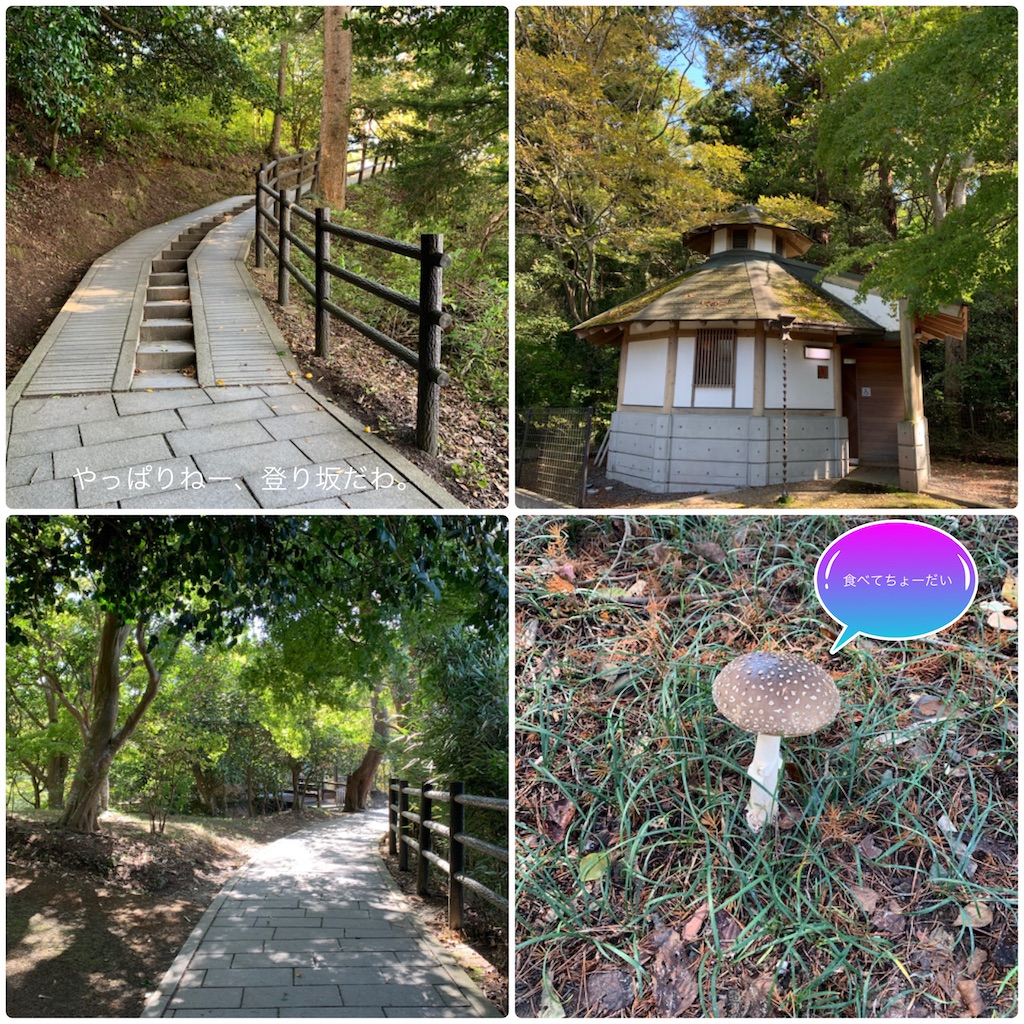 f:id:hachiburo:20201111173755j:image f:id:hachiburo:20201111173755j:image