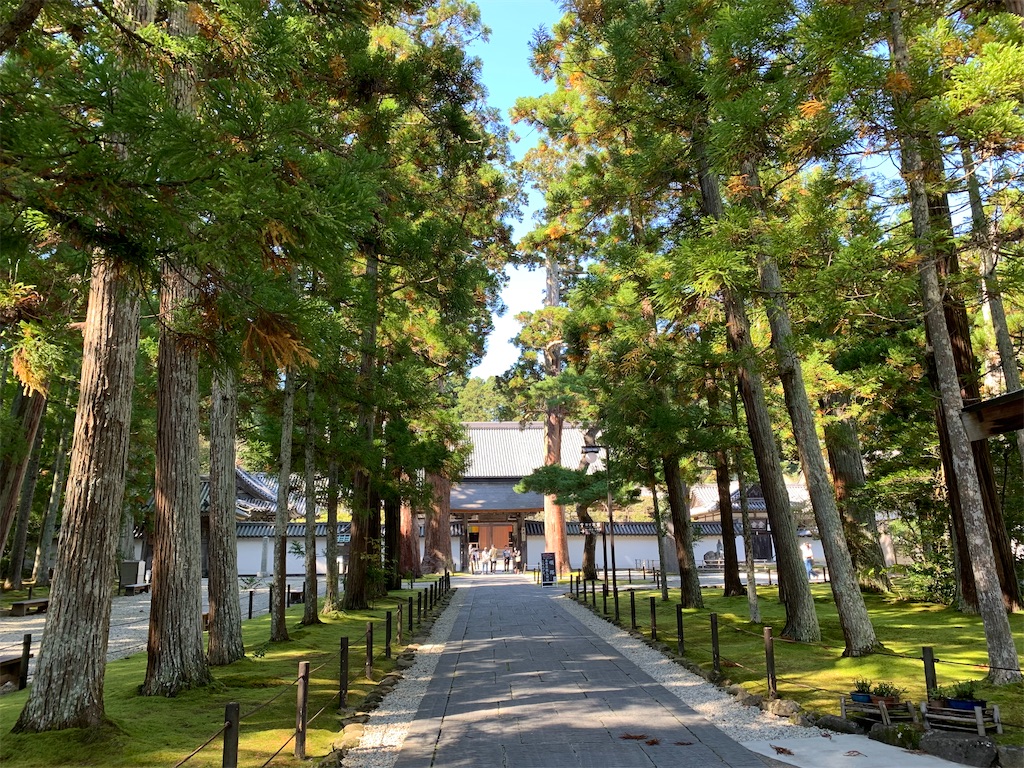 f:id:hachiburo:20201111195018j:image f:id:hachiburo:20201111195018j:image