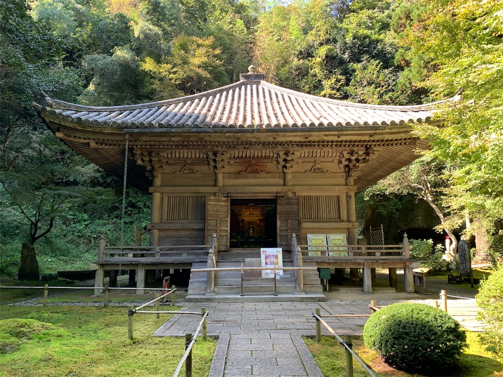 f:id:hachiburo:20201111195132j:image f:id:hachiburo:20201111195132j:image