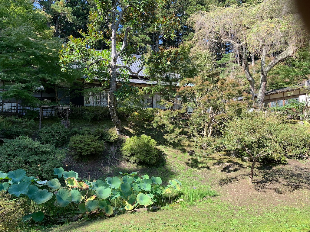 f:id:hachiburo:20201111211810j:image f:id:hachiburo:20201111211810j:image