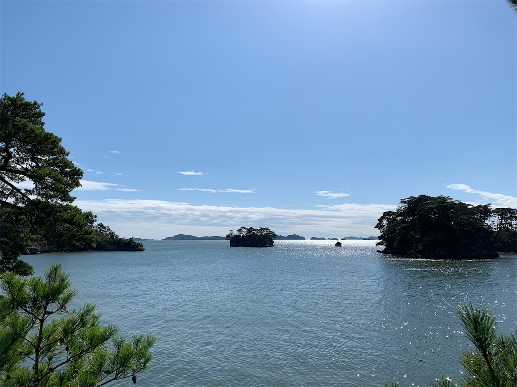 f:id:hachiburo:20201111212945j:image f:id:hachiburo:20201111212945j:image