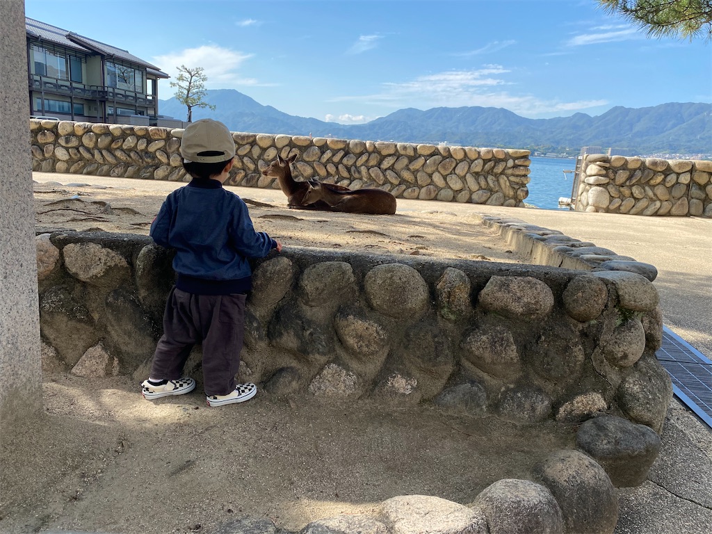 f:id:hachiburo:20201202165630j:image