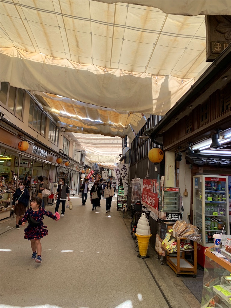 f:id:hachiburo:20201202183041j:image