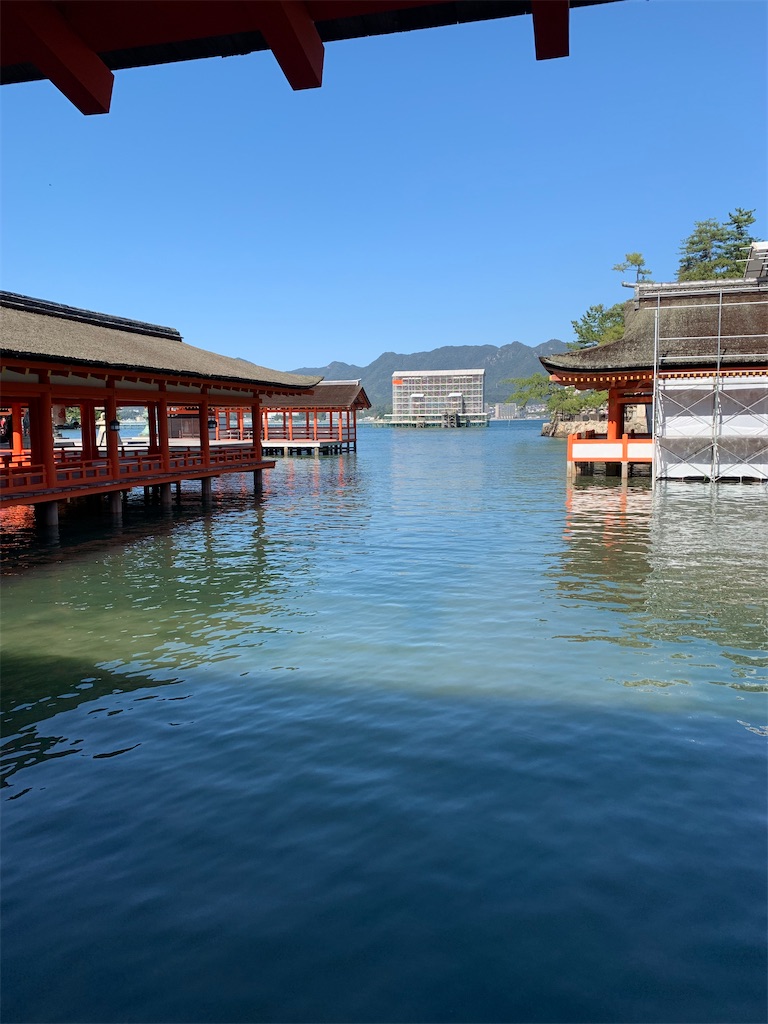 f:id:hachiburo:20201204165336j:image