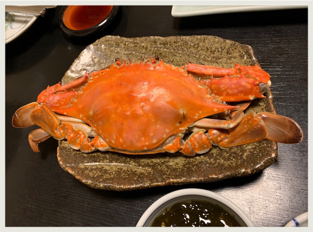 f:id:hachiburo:20201207171706j:image