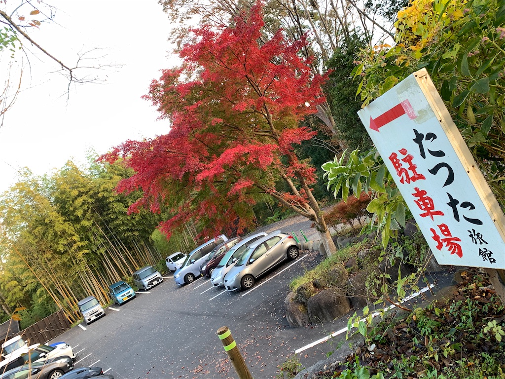 伊豆箱根エリア唯一 川床がある宿 湯ヶ島温泉 たつた 雑記と旅のブログ はちこーんのお一人様が行く