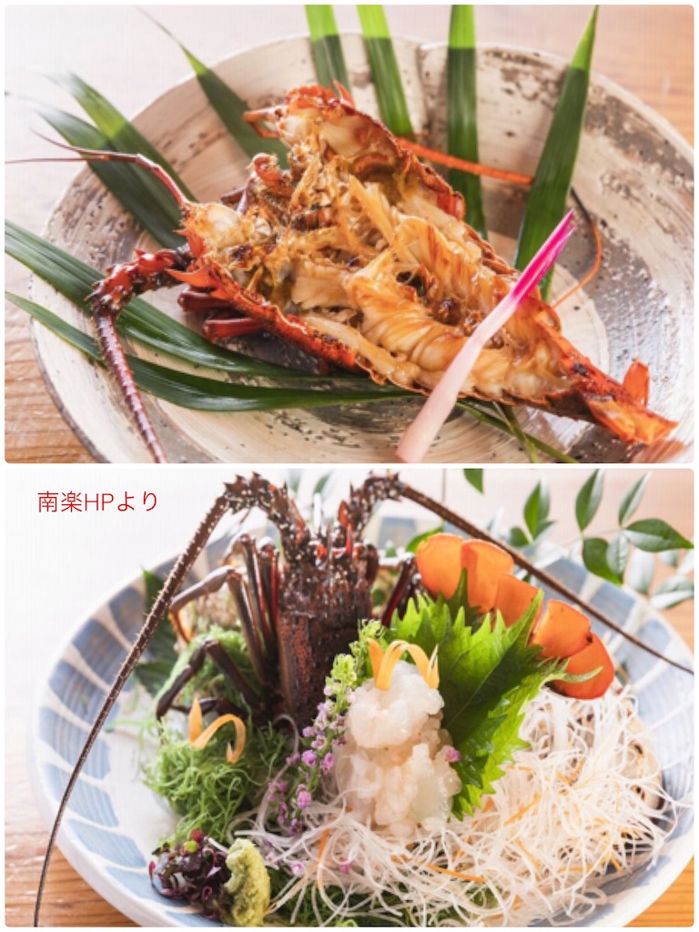f:id:hachiburo:20201224095257j:image
