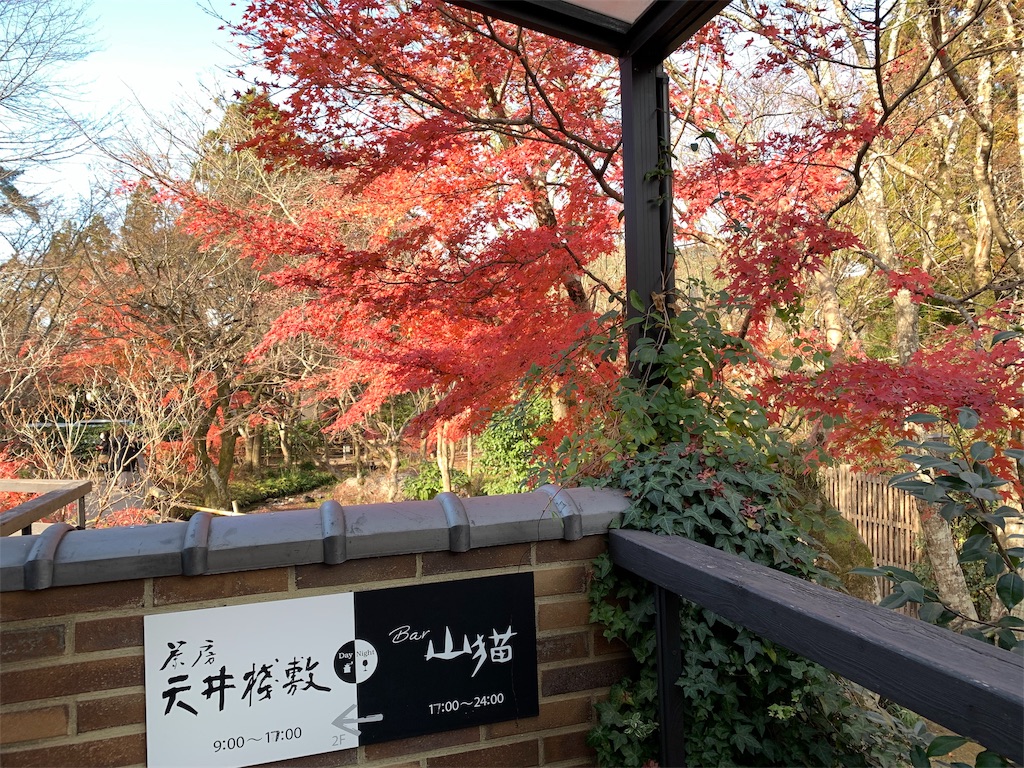 f:id:hachiburo:20210217152148j:image