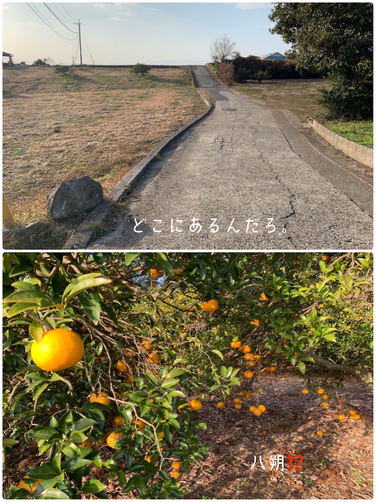 f:id:hachiburo:20210222183138j:image
