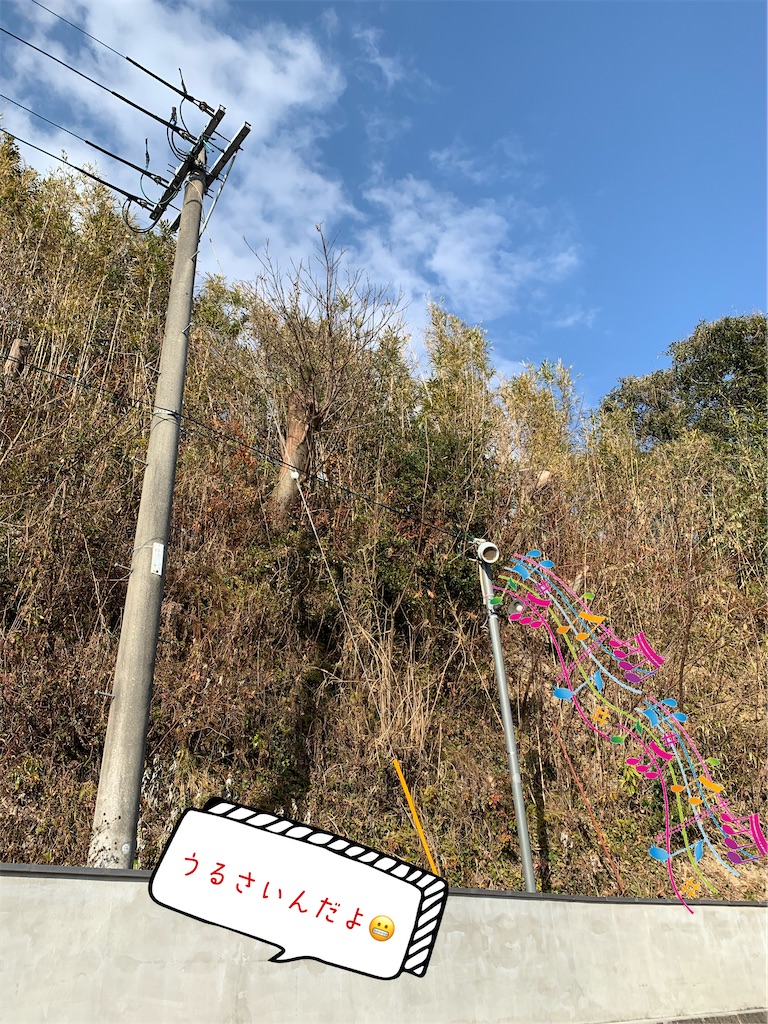 f:id:hachiburo:20210222184128j:image