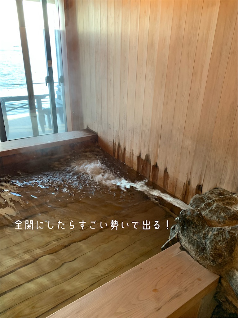 f:id:hachiburo:20210222185152j:image