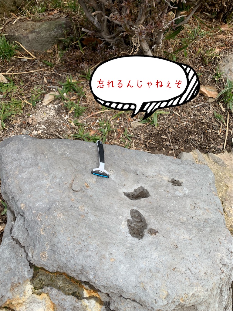 f:id:hachiburo:20210227164937j:image
