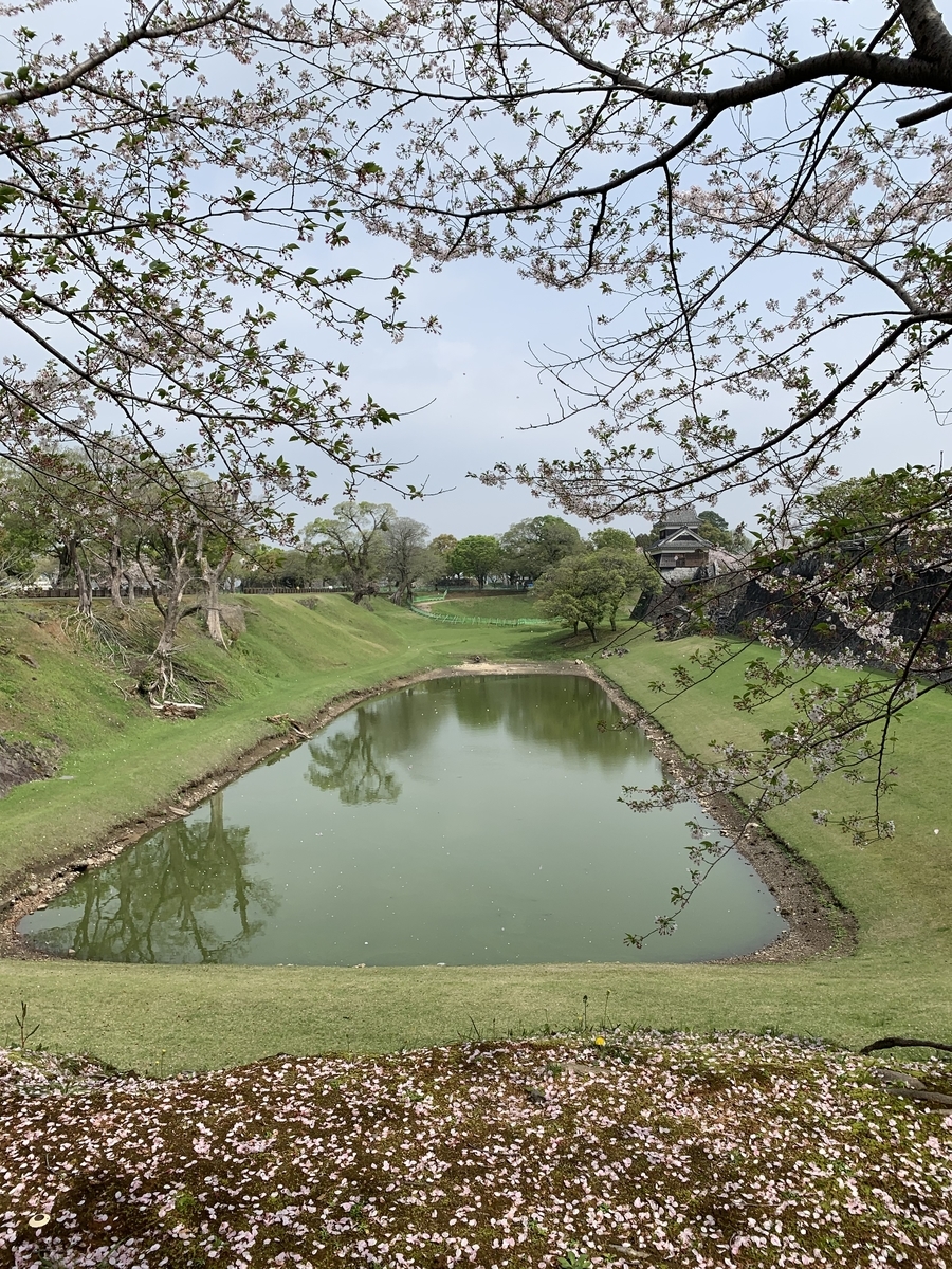 f:id:hachiburo:20210501144604j:plain